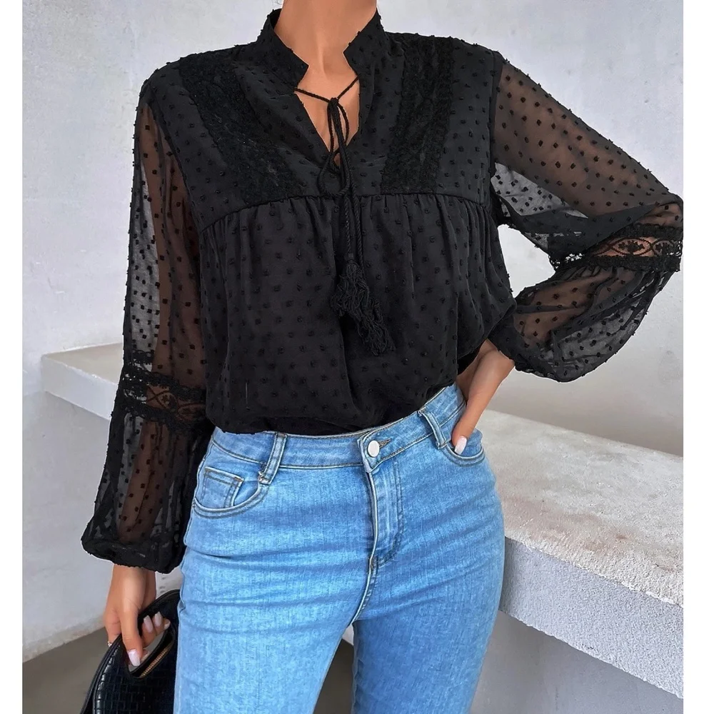 Swiss Dot V neck Tassel Tie Semi Sheer Long sleeve Top